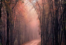 爱游戏在线-阿尔艾因阵容深度显著，替补席也能决定比赛走向