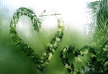 爱游戏-河床主场迎战塔斯马尼亚联，锋线火力引爆看点