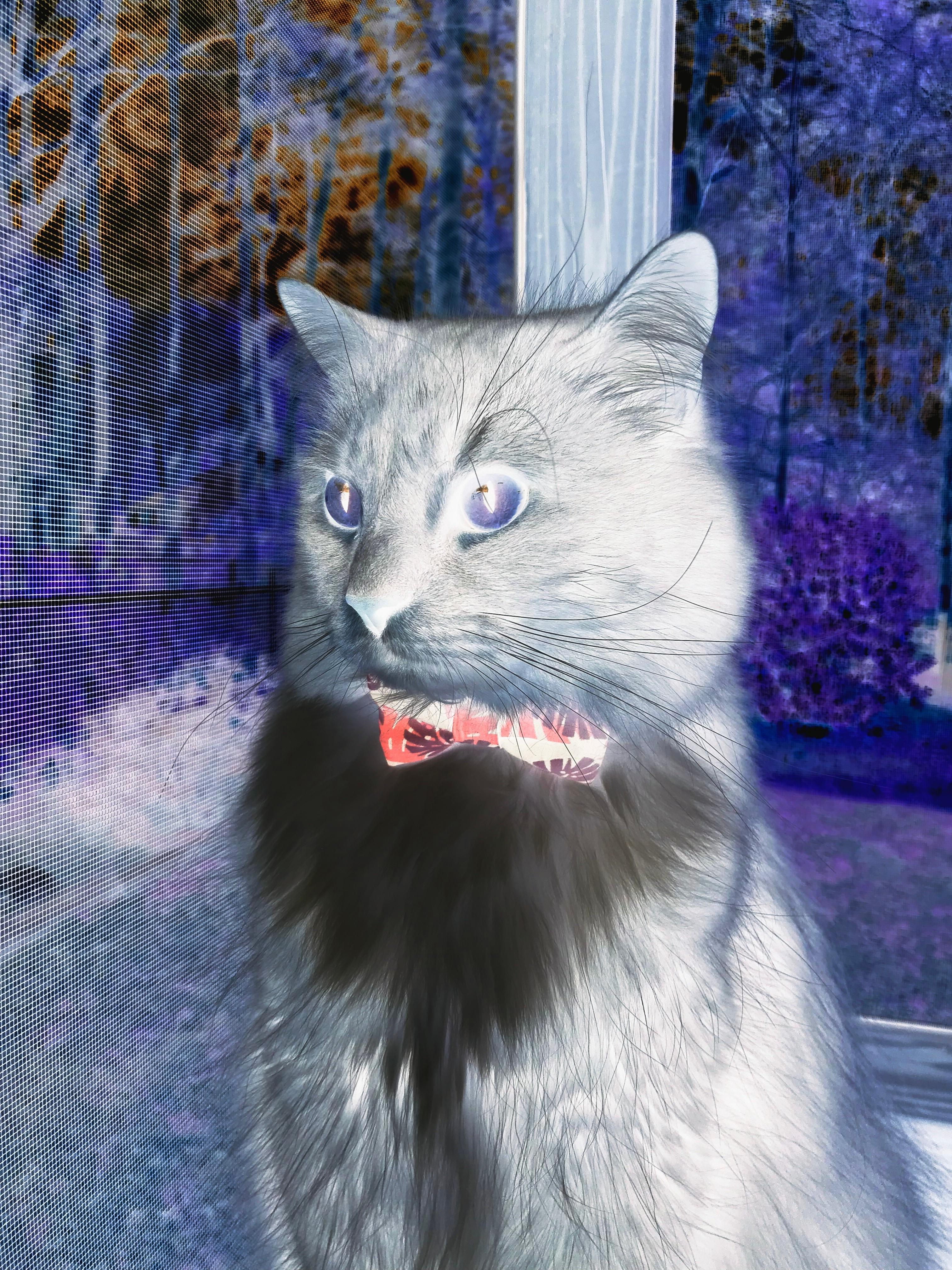 爱游戏官方入口-从东京到多哈，久保建英的致命弧线，如何让马里在生死战中击沉德国战车