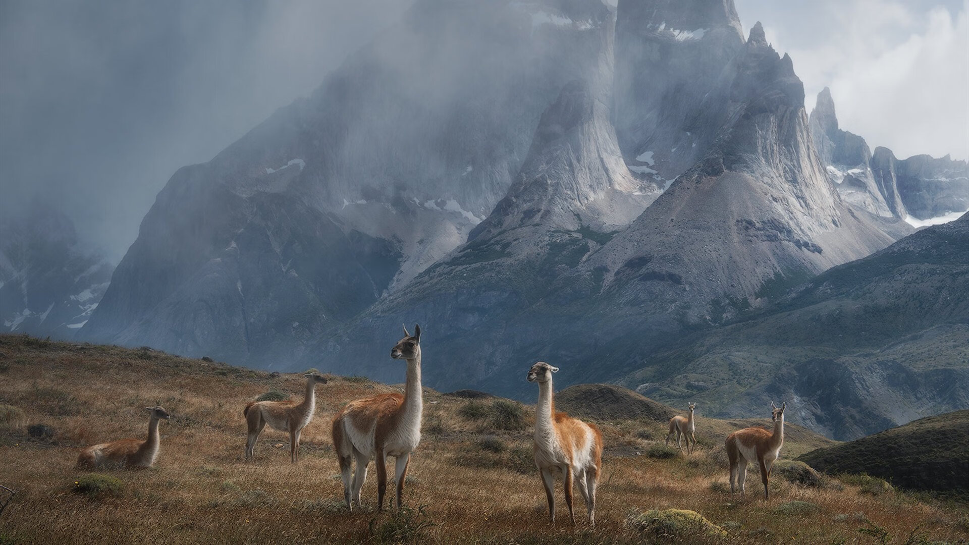 另一种决赛,浙江队用钱塘潮水,在欧洲足球之夜冲垮猛龙