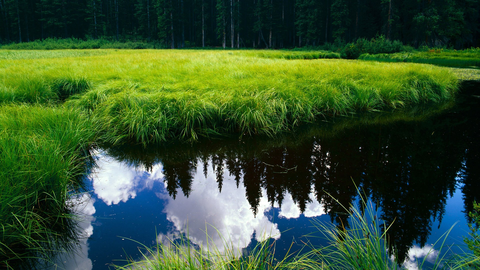 雄鹿西征碾碎灰熊，霍勒迪决胜时刻接管世界排名卡位战