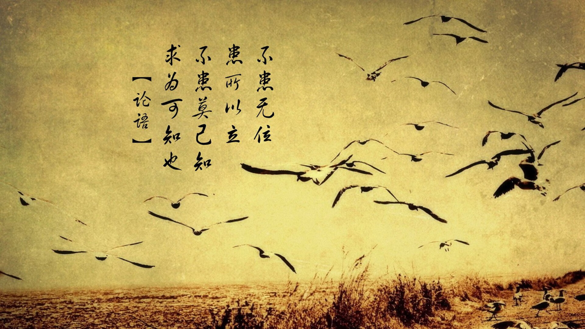 爱游戏体育-突尼斯对阵奥地利，萨内赛后评分拉满，闪耀全场诠释完美表现