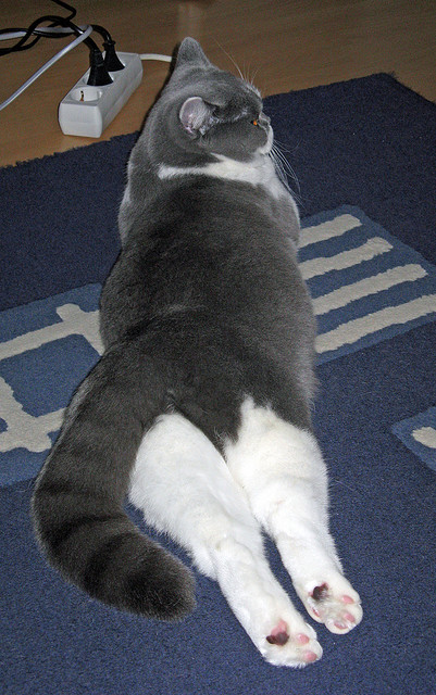 北欧旋风突围红牛堡垒，亚洲之光接管年度焦点—足球世界的关键时刻