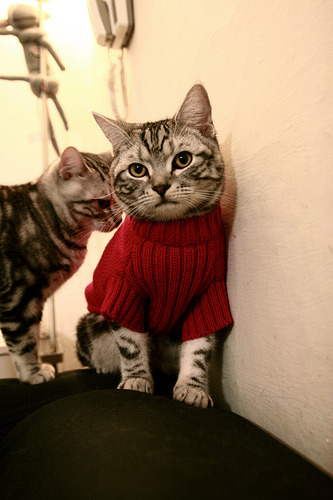 爱游戏在线-双城记，当马刺的钢铁洪流遇见詹姆斯的神迹时刻